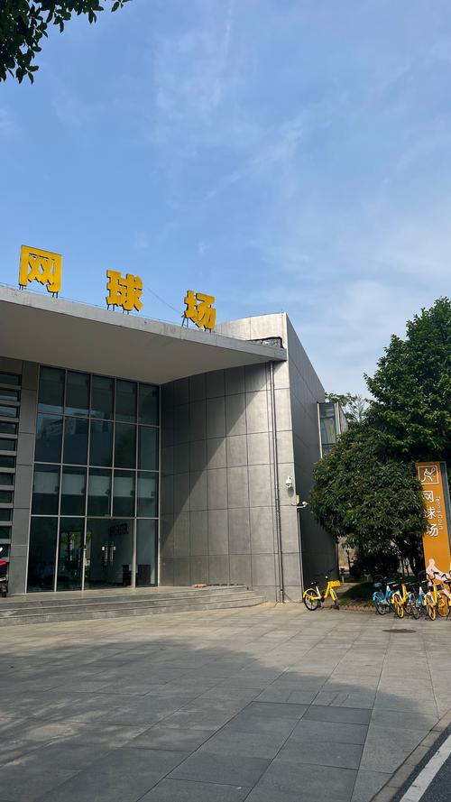 国内联赛中