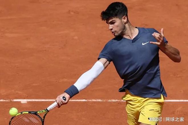 仅促进了体 仅促进了体